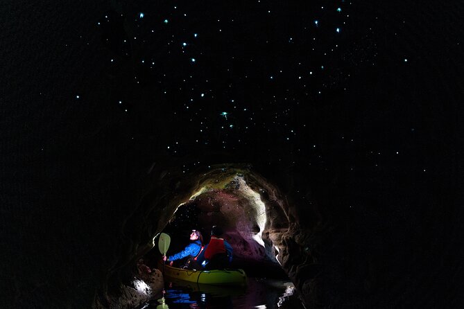Glow Worm Kayak Tour - Key Highlights You’ll Actually Care About