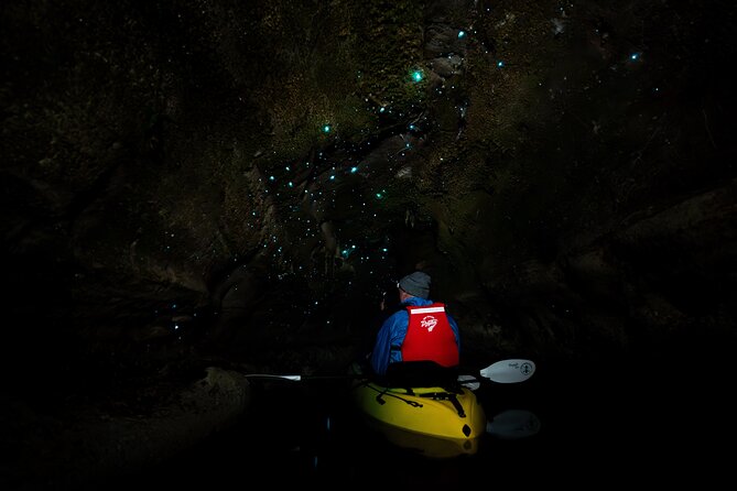 Glow Worm Kayak Tour - A 3-hour Rotorua night kayak with glow worm caves