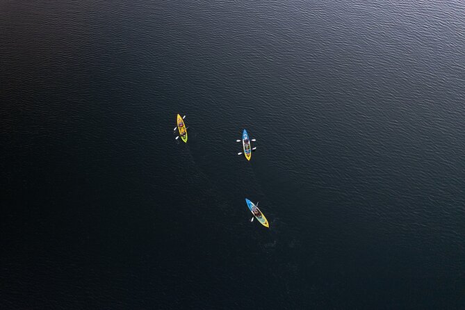Glow Worm Kayak Tour - Glow worms and what your guide explains on the rocks