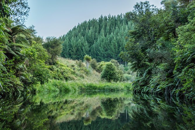 Glow Worm Kayak Tour - How wet you’ll get, plus the gear that helps