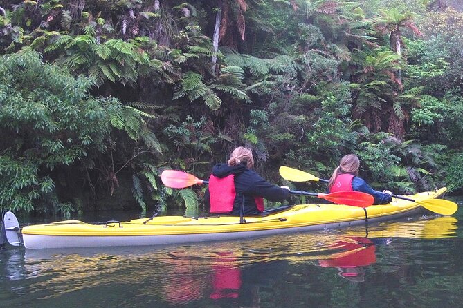 Glowworm Kayak Adventure on the Waikato River - Key highlights you should care about