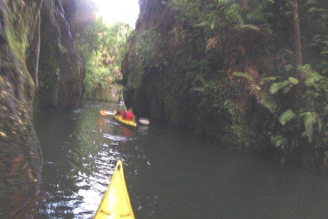 Glowworm Kayak Adventure on the Waikato River - The glowworm canyon at dusk: how the night light works