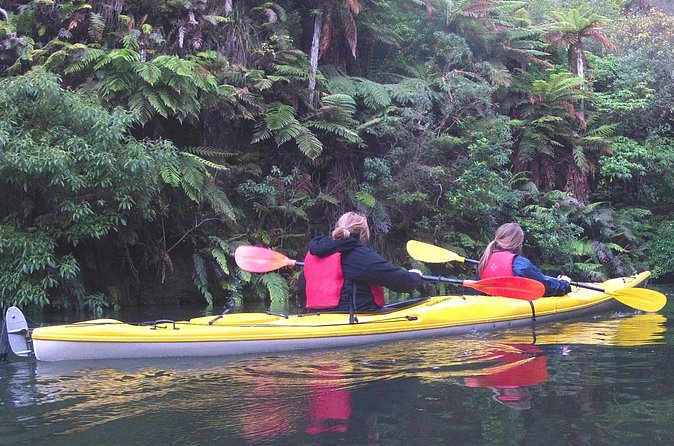 Glowworm Kayak Adventure on the Waikato River - Weather, timing, and small-group calm on the water