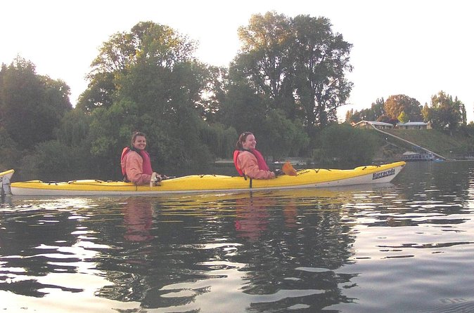 Glowworm Kayak Adventure on the Waikato River - Who should book this glowworm kayak adventure, and who may skip it