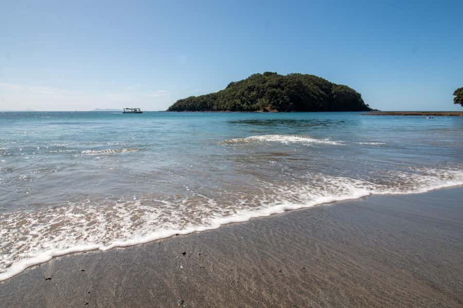 Goat Island: Glass Bottom Boat Tour - Key highlights to know before you go