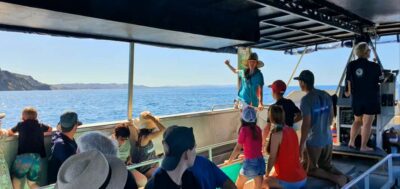 Goat Island: Glass Bottom Boat Tour