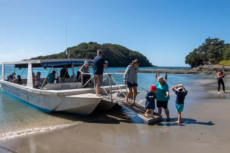 Goat Island: Glass Bottom Boat Tour - Wildlife possibilities: dolphins, orcas, whales, and sharks