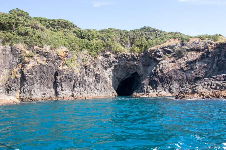 Goat Island: Glass Bottom Boat Tour - Who should book this Goat Island boat ride, and who should skip