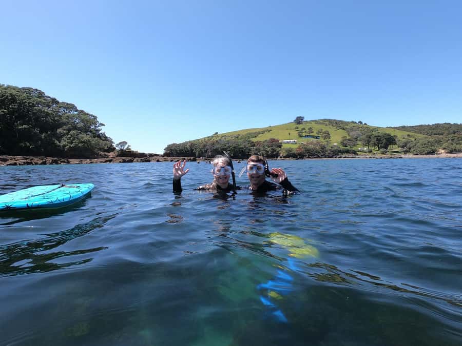 Goat Island Guided Snorkeling Tour for Beginners - Why Goat Island Marine Reserve is such a smart first stop