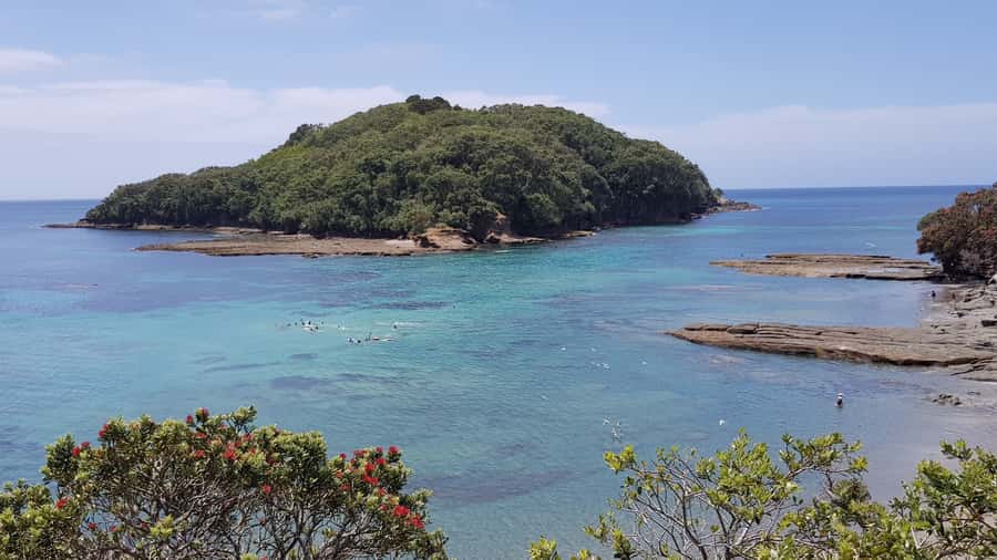 Goat Island Guided Snorkeling Tour for Beginners - Practical tips that improve your day