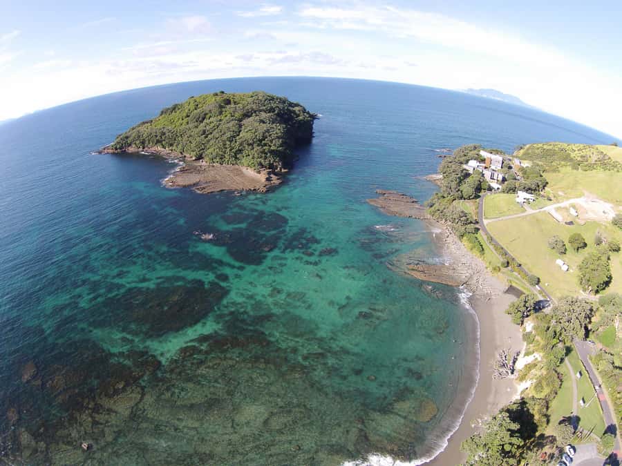 Goat Island Guided Snorkeling Tour for Beginners - Getting geared up and self-driving to the reserve