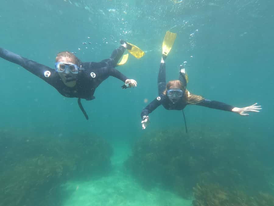 Goat Island Guided Snorkelling Tour For Advanced - Key highlights to look for