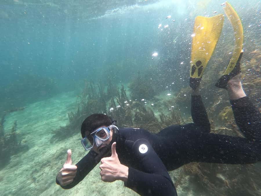Goat Island Guided Snorkelling Tour For Advanced - The Safety Briefing and Shallow-Water Warm-Up