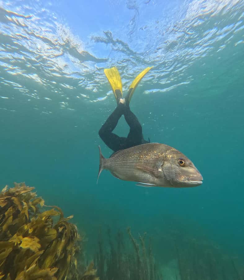 Goat Island Guided Snorkelling Tour For Advanced - Who This Tour Suits Best (And Who Should Skip It)