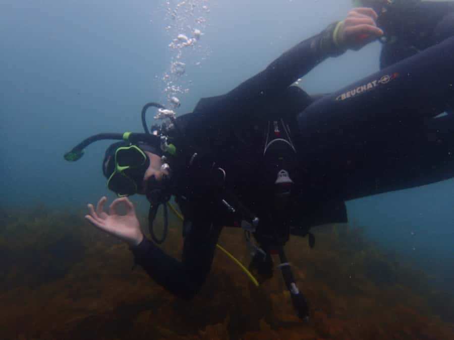 Goat Island Try Scuba Diving Experience - What to bring, what not to do, and how to show up prepared