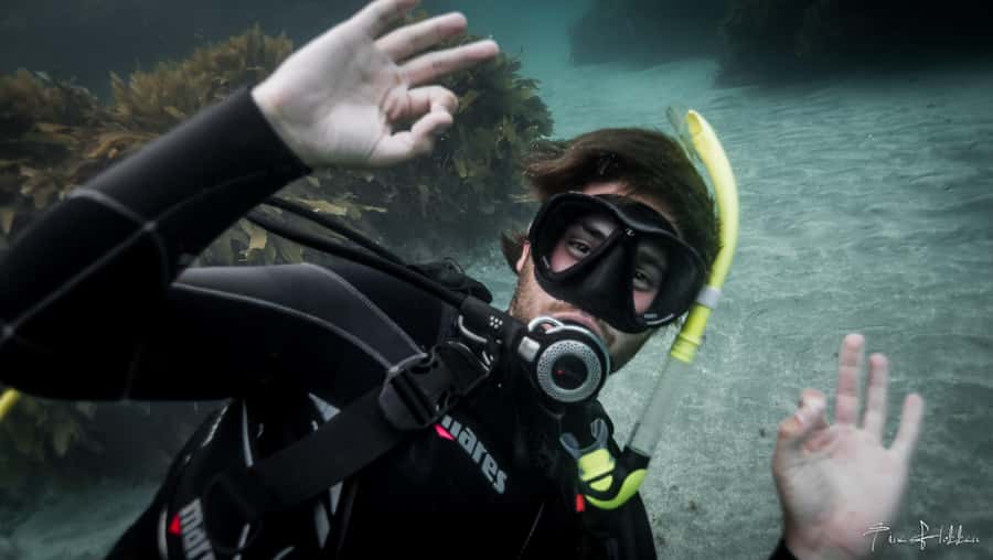 Goat Island Try Scuba Diving Experience - Goat Island is a great first underwater classroom near Leigh