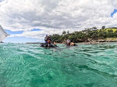 Goat Island Try Scuba Diving Experience