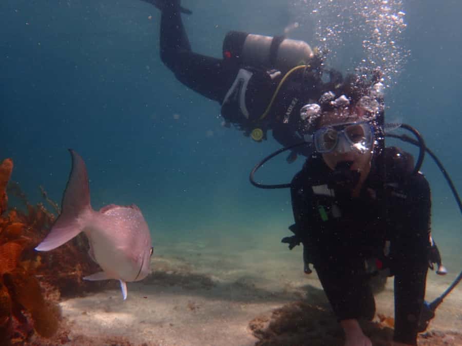 Goat Island Try Scuba Diving Experience - Instructors in a small group, and why Connor’s name shows up