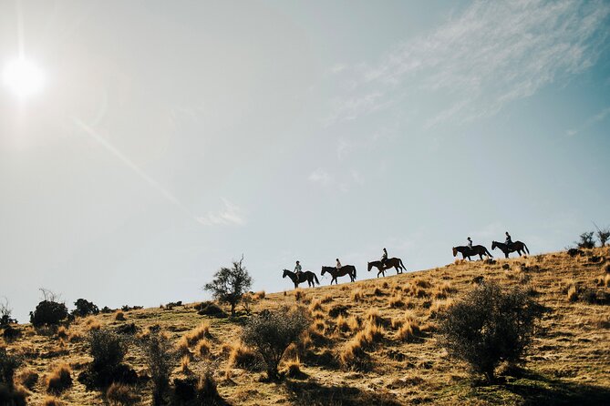 Gold Discovery Trail Horse Trek Cardrona - Most popular! - Key highlights to know before you book