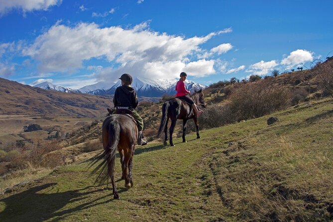 Gold Discovery Trail Horse Trek Cardrona - Most popular! - Getting started at 2125 Cardrona Valley Road, and why timing is everything