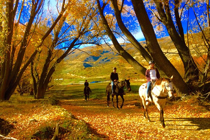 Gold Discovery Trail Horse Trek Cardrona - Most popular! - Matching you to a horse, then teaching you to steer