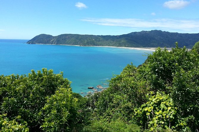 Golden Bay in a Day - Key Things You’ll Remember From This Golden Bay Day