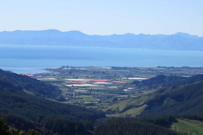 Golden Bay in a Day - Why This Nelson to Golden Bay Day Feels Like a Cheat Code