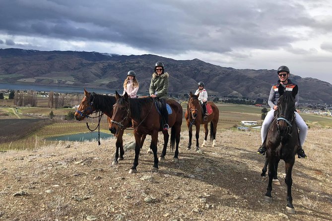 Golden Hills Horse Trek in Central Otago - Golden Hills in a Nutshell: 5 reasons it works so well