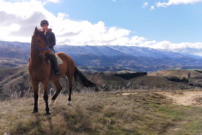 Golden Hills Horse Trek in Central Otago - Two Hours on Horseback: What the “Top Hill Trek” Feels Like