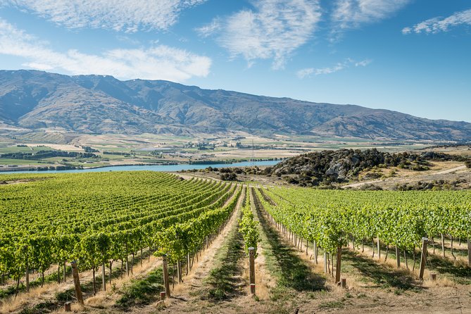 Gourmet Food and Wine Tour Queenstown All-Inclusive Tour - Key reasons this Queenstown wine tour works