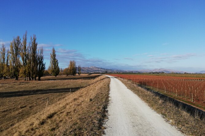 Great Escape Self-Guided Scenic Cycle Winery Tour from Napier - Why a Napier bike day beats a winery bus