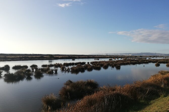 Great Escape Self-Guided Scenic Cycle Winery Tour from Napier - Ātea a Rangi star compass: the free stop with meaning