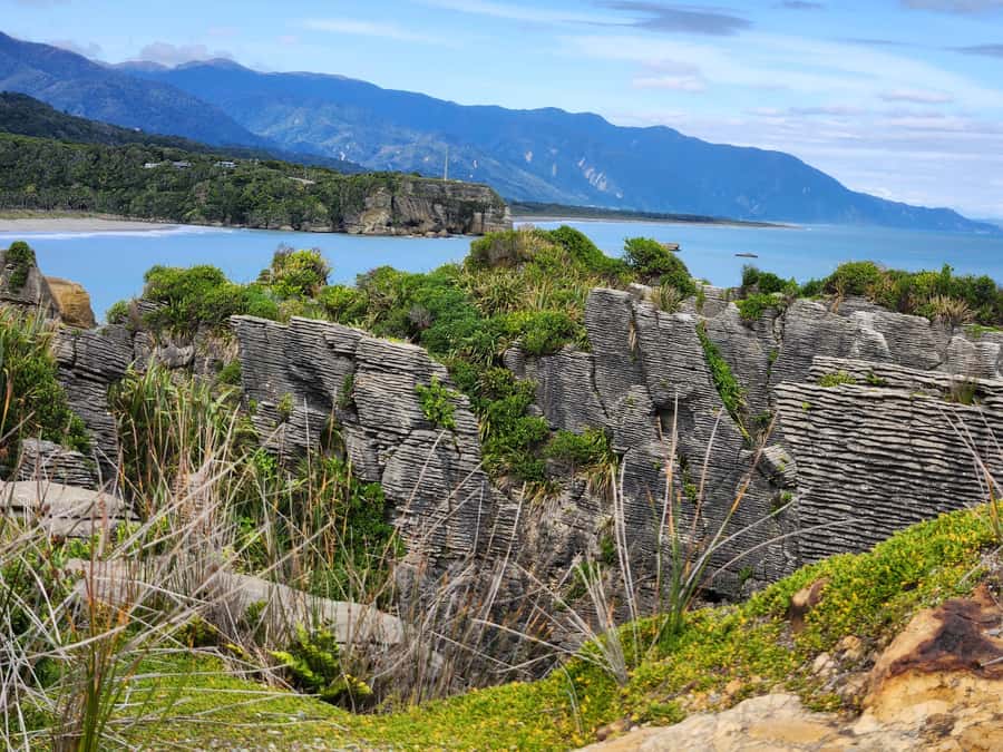 Greymouth: Full-Day Best Of The West Tour - The world-famous coastal drive: why it is part of the experience
