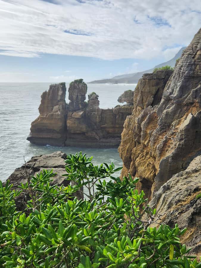 Greymouth: Full-Day Best Of The West Tour - Scenic Hotel Punakaiki afternoon tea with sea views