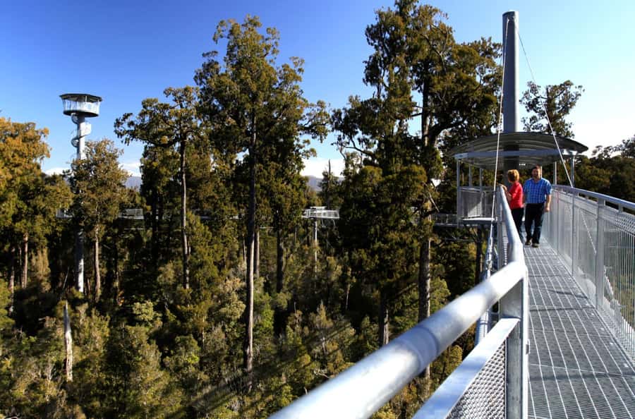 Greymouth: Hokitika Gorge and Tree Top Walkway Half-Day Tour - From Greymouth: Coast Drive That Sets the Mood