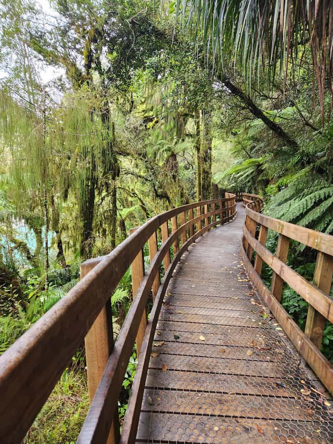 Greymouth: Hokitika Gorge and Tree Top Walkway Half-Day Tour - What the Walking Really Feels Like (Steps, Swing Bridge, Height)