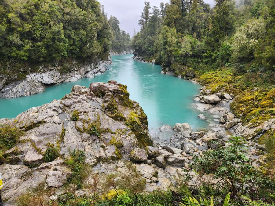 Greymouth: Hokitika Gorge and Tree Top Walkway Half-Day Tour - Price and Value: What You Get for About $122