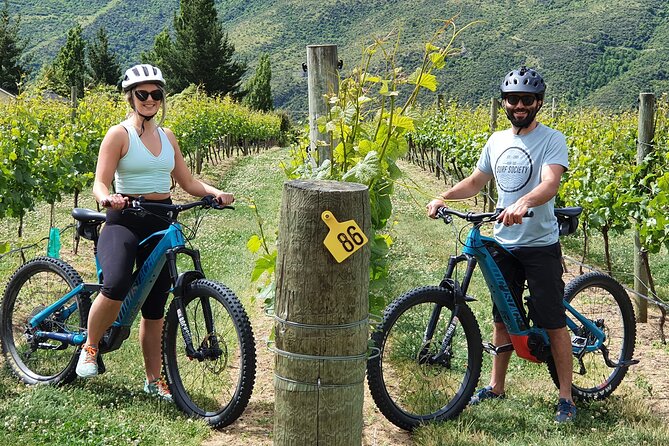 Guided eBike Wine Tour Ride to the Vines - Key highlights I’d plan my day around