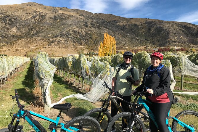 Guided eBike Wine Tour Ride to the Vines - Arrow Junction animal feeding: a fast stop that makes the day feel local