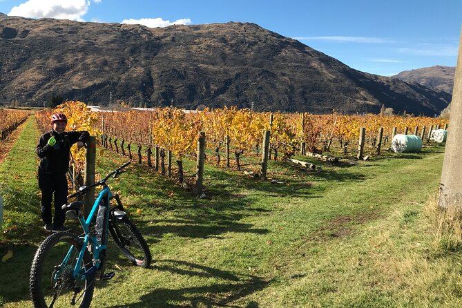 Guided eBike Wine Tour Ride to the Vines - Timing and logistics that keep the day from feeling rushed