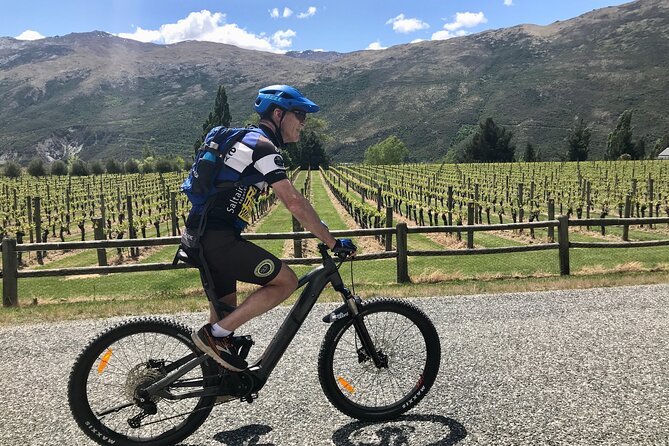 Guided eBike Wine Tour Ride to the Vines - Gibbston and suspension bridges: scenic thrills with a reason to slow down