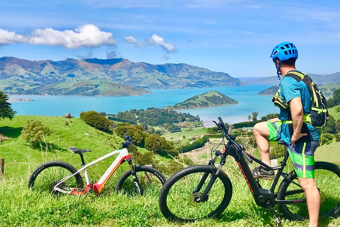 Guided Electric Mountain Bike & Sea Kayak Tour in Akaroa - Key highlights you will actually care about