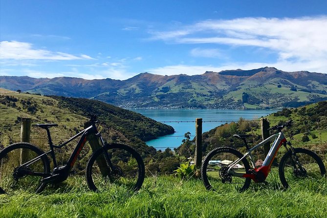 Guided Electric Mountain Bike & Sea Kayak Tour in Akaroa - Wildlife spotting, the realistic way
