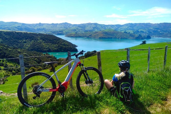 Guided Electric Mountain Bike & Sea Kayak Tour in Akaroa - Price and value: is $192.38 worth it?