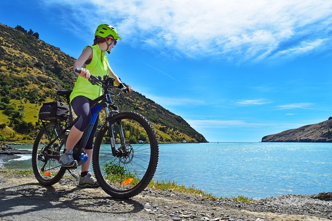 Guided Electric Mountain Bike & Sea Kayak Tour in Akaroa - Who should book this Akaroa day