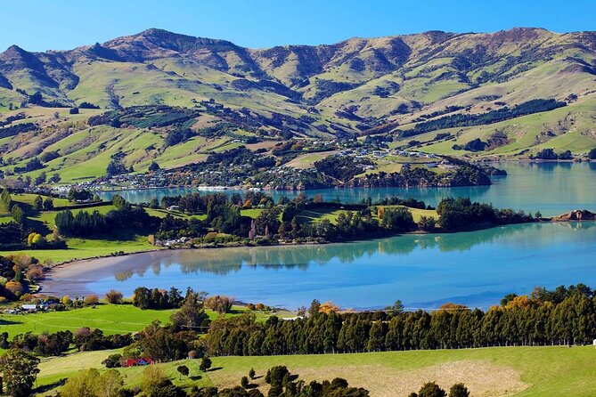 Guided Electric Mountain Bike Tour- Akaroa Explorer - Where you start: Common Cafe and Garden Bar, Akaroa