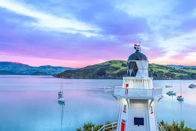 Guided Electric Mountain Bike Tour- Akaroa Explorer - Crater-loop riding and why navigation feels stress-free