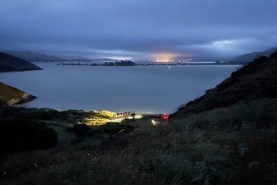 Guided Evening Penguin Viewing Otago Peninsula, Dunedin, New Zealand