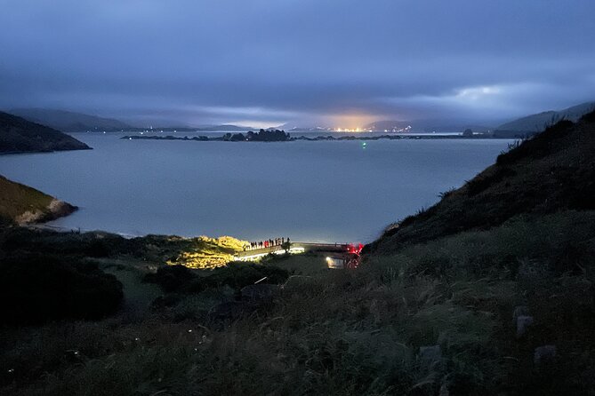 Guided Evening Penguin Viewing Otago Peninsula, Dunedin, New Zealand - Meeting at Blue Penguins Pukekura, Then a Short Nature Walk