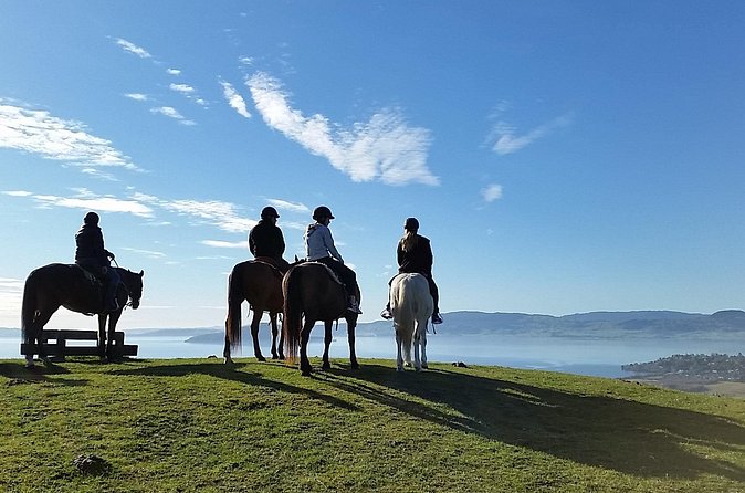 Guided Horse Trekking from Rotorua - Stop 2: Adventure Playground Pause, Why It’s Included